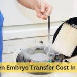 Frozen Embryo Transfer Cost In India