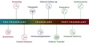 How is uterus transplant performed in India